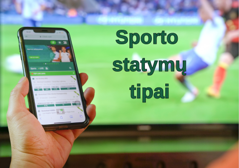 Sporto statymų tipai